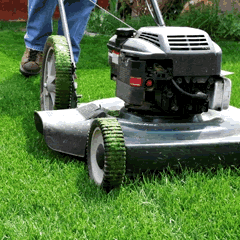 Grass cutting